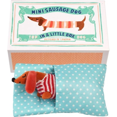 Rex London Mini Sausage Dog in a Little Box modrá/zelená/tyrkysová