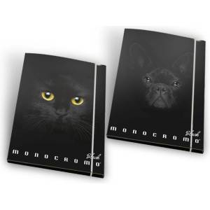  Папка картон с ластик Pigna Monocromo Black (1303310-0230859-3L)