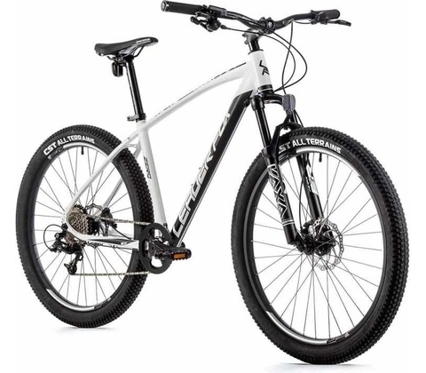 Leader Fox Zero 2023