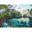 Ravensburger - Puzzle Manatee Moments - 500 piese