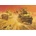 Roden Sd.Kfz. 263 Command Post 1:72