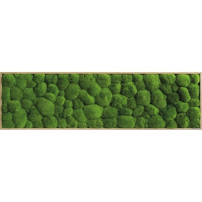 Machový obraz v drevenom ráme 140x40 cm