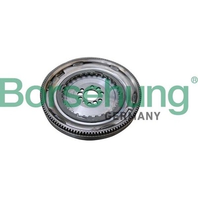 Setrvačník Borsehung B10919