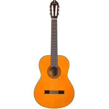 Image 1 of Washburn C40 A-U