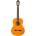 Washburn C40 A-U