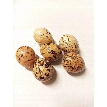 Vajíčka prepelice ako prírodné 3,5 cm 6ks