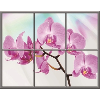 Preinterier Fototapeta - FT0279 - vlies - 400cm x 312cm