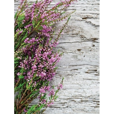 Preinterier Fototapeta panel - PL0228 - Levanduľa vlies - 206cm x 275cm