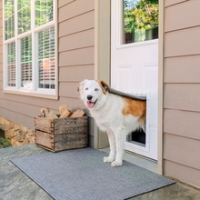 PetSafe Extreme Weather Door L šedá 34,1 x 50,8 x 8,3 cm