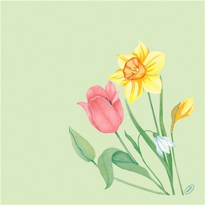 BioDunisoft Ubrousek Spring Melody 60ks 100032383 40x40cm
