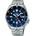 Seiko SSK003K1