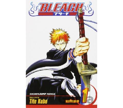 Bleach, Vol. 1
