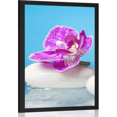 Plakát orchidej a Zen kameny - 60x90 no frame