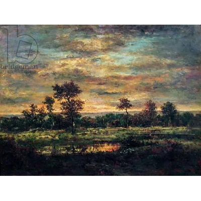Obrazy - Rousseau, Theodore: Pond at the Edge of a Wood - reprodukce obrazu