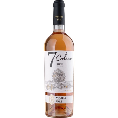 Vinaria Din Vale Rosé Cabernet Sauvignon Suché Růžové 2020 14% 0,75 l (holá láhev)