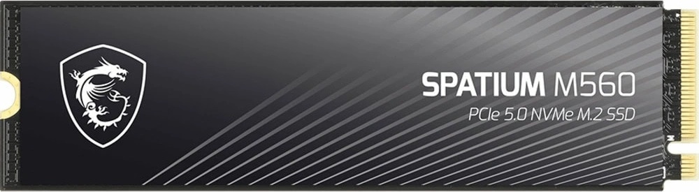 MSI SPATIUM M560 1TB (S78-440L0F0-P83)