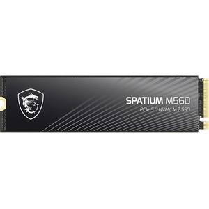 MSI SPATIUM M560 1TB (S78-440L0F0-P83)
