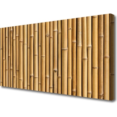 Obraz Canvas Bambus rastlina príroda 100x50 cm