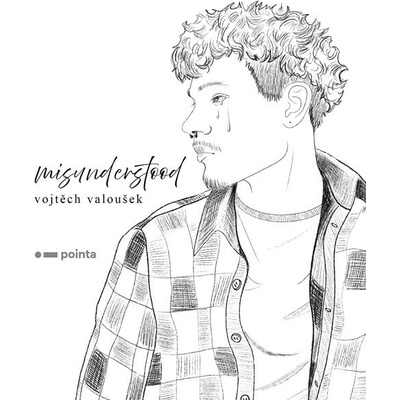 Misunderstood - Pointa