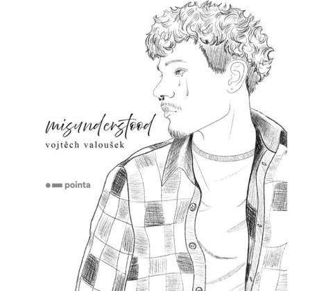 Misunderstood - Pointa