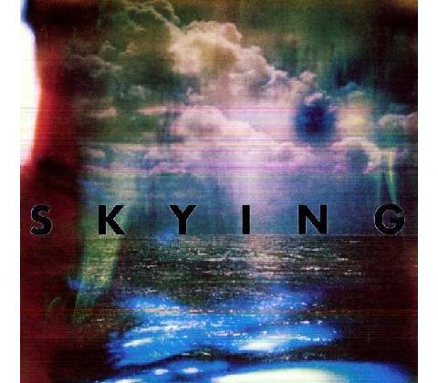 HORRORS: SKYING LP
