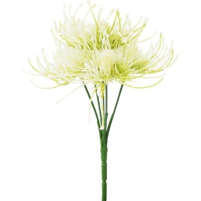 Ozdoba zapichovacia bodliak krém 24cm