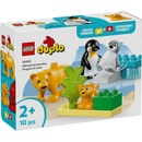 LEGO® DUPLO® - Wild Animal Families: Penguins & Lions (10442)