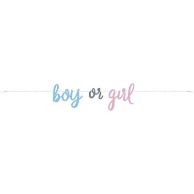 UNIQUE Girlanda gender reveal kluk nebo holka 213 cm – Hledejceny.cz