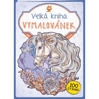 Velká kniha Vymalovánek fialová