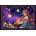 Bluebird Puzzle - Puzzle The Alchemist - 1 000 piese