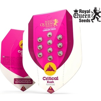 Royal Queen Seeds Critical Kush semena neobsahují THC 3 ks