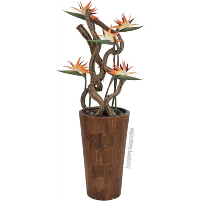 Strelície oranžová, 95 cm
