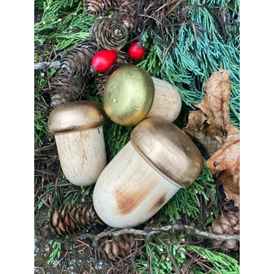 Dijk Natural Collection Žaludy dřevěné sada metalická