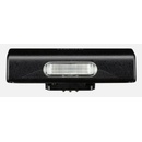 Ricoh GF-2