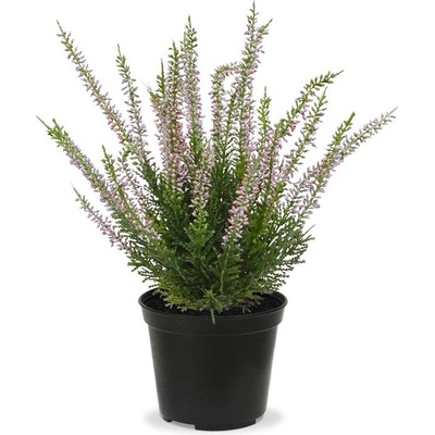 MF Umělá rostlina ERICA - vřes v květináči (25cm) - růžová