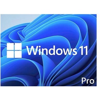 Image 1 of Microsoft Win 11 pro 64bit eng dsp dvd (win 11 pro 64bit eng dsp dvd)