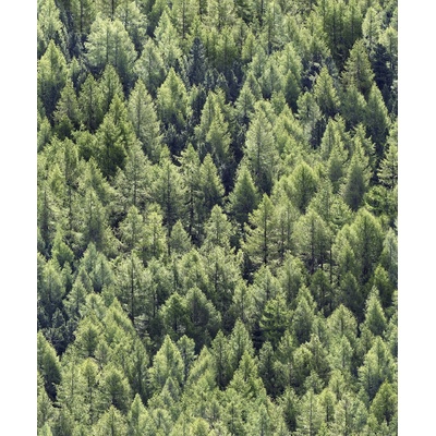 Marburg 45730 Vliesová tapeta na zeď Struktura, rozměry 0,53 x 10,05 m
