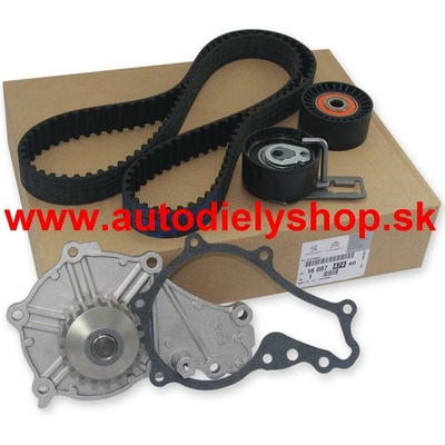 Peugeot 301 2013- Rozvodová sada INA /komplet/ 1,6HDi 68KW
