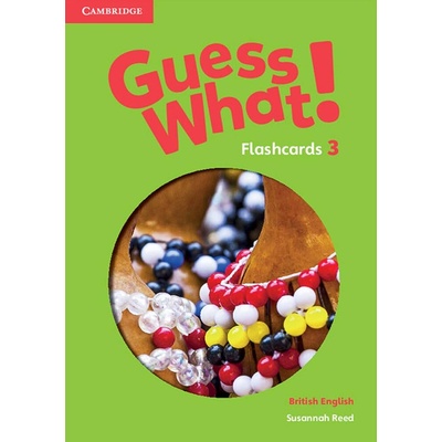 Guess What! Updated edition Level 3