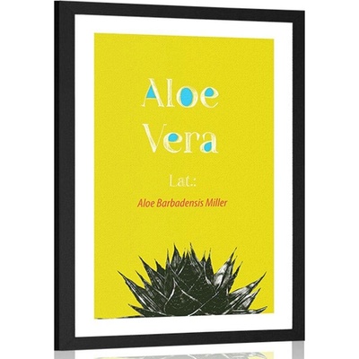 Plakát s paspartou zázračná Aloe Vera - 40x60 no frame