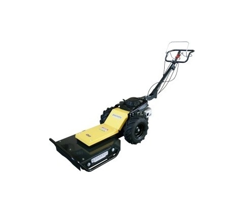 AMA ACZ544