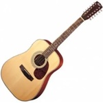 Cort Earth 70-12