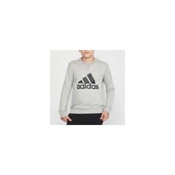 Image 1 of Adidas Essentials Big Logo (GS4273) Юношески Суичър