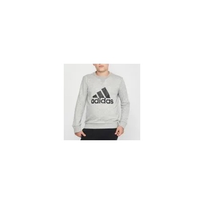 Adidas Essentials Big Logo (GS4273) Юношески Суичър