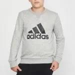 Adidas Essentials Big Logo (GS4273) Юношески Суичър