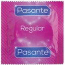 Pasante Regular 50 ks