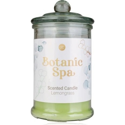 ACCENTRA BOTANIC SPA 230g