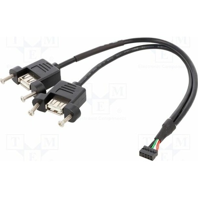 Delock 84832 USB 2.0 USB A zásuvka x2,kolíkový konektor 10pin 0,25m