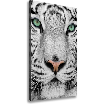 Vertikálny foto obraz canvas Biely tiger 50x100 cm