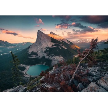 Ravensburger - Puzzle Power of Nature: Wild nature - 1 000 piese